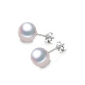 8mm Several Colors AAA Button Shape Stud Freshwater Pearl Earring